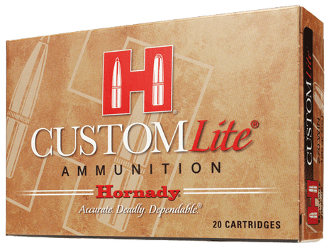 HORN CUSTOM LT 3006 125GR SST 20BX