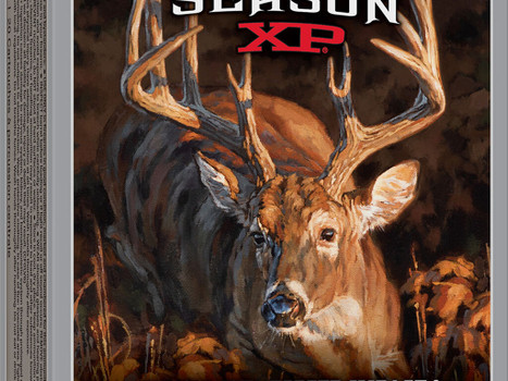 Winchester Ammo X243DS Deer Season XP 243Win 95gr Extreme Point 20 Per Box/10 Case