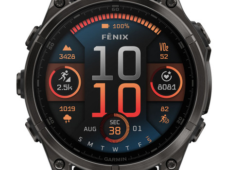 GAR 010-02904-20 FENIX8 47MM AMOLED SPPHR/GRY