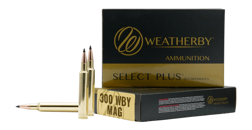 WTHBY M300170HCB   300 WBY 170GR HAMMER      20/10