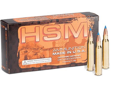 HSM 204R3N 204Ruger 32gr BlitzKing 20 Per Box/20 Case