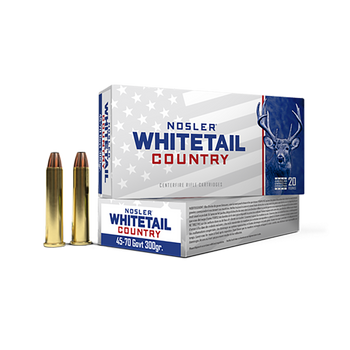 NOSLER 45-70 GOVT 300GR SW 20/200