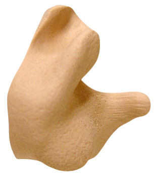 Radians CEP002T Custom Molded Earplugs Silicone 26 dB In The Ear Tan Adult                                                                                                                              