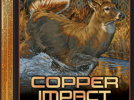 Winchester Ammo X300CLF Copper Impact 300WinMag 150gr Copper Extreme Point Lead Free 20 Per Box/10 Case