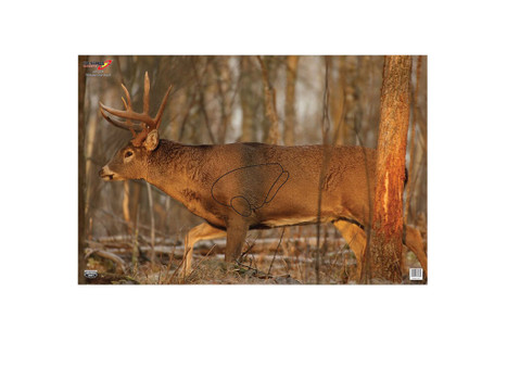 Birchwood Casey 37481 EZE-Scorer Whitetail Deer Paper Hanging 23" x 35" Multi-Color 2 Per Pkg