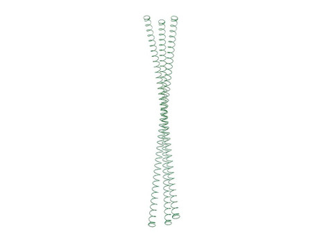 TANDEMKROSS TK05N0299GRN1 GREEN MAG SPRINGS RUG