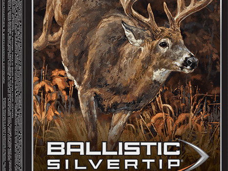 Winchester Ammo SBST300 Ballistic Silvertip 300WinMag 180gr Rapid Controlled Expansion Polymer Tip 20 Per Box/10 Case