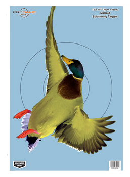 Birchwood Casey 35407 Pregame  Duck Paper Hanging Rifle/Shotgun 12" x 18" Impact Enhancement 8 Per Pkg                                                                                                  