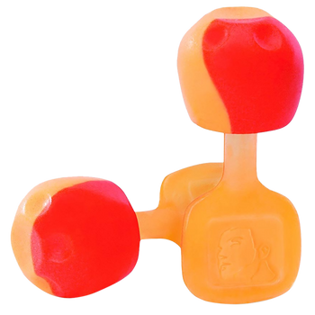Howard Leight R02236 TrustFit Pod Earplugs Foam 28 dB In The Ear Orange Adult 5 Pair                                                                                                                    
