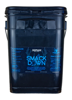DOMAIN SDFP3       SMACK DOWN