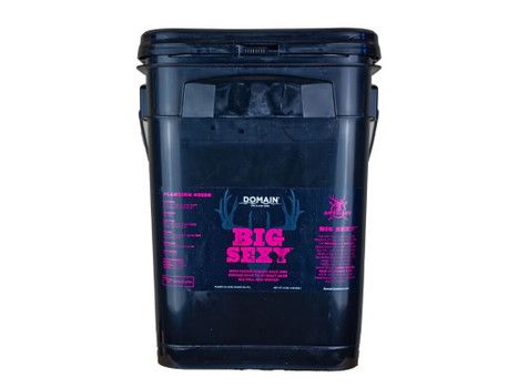 DOMAIN BSFP34 BIG SEXY