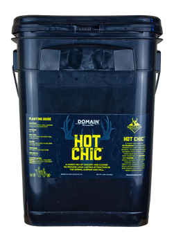 DOMAIN HCFP34      HOT CHIC