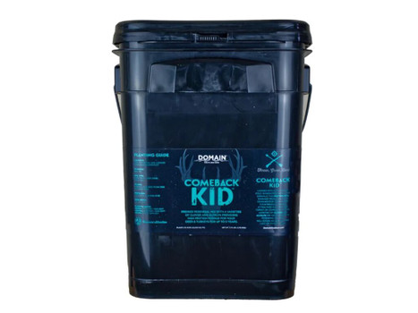 DOMAIN CBKFP375 COMEBACK KID