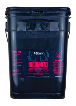 DOMAIN INCFP325    INCOGNITO