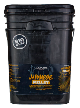 DOMAIN DJMS4LB     JAPANESE MILLET
