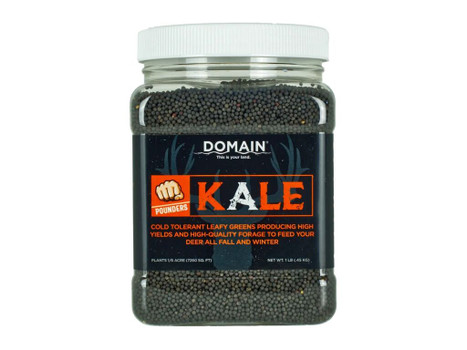 DOMAIN DKS1LB POUNDER - KALE