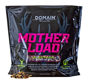 DOMAIN MLFP20      MOTHER LOAD