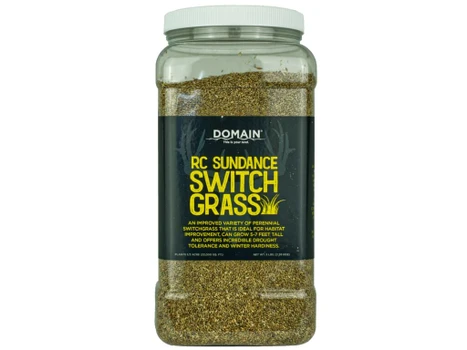 DOMAIN RC-SDSG-5 RC SUNDANCE SWITCHGRASS