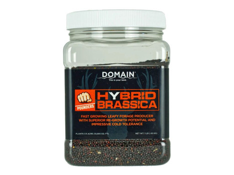 DOMAIN DHBS1LB POUNDER - HYBRID BRASSICA
