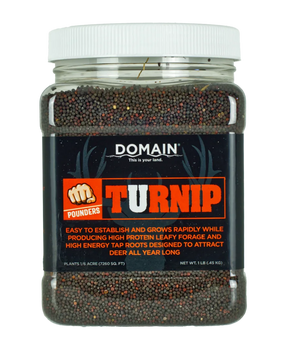 DOMAIN DTS1LB      POUNDER - TURNIP