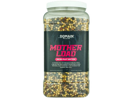 DOMAIN MLFP6-MICRO MOTHER LOAD - MICRO