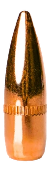 BERRYS 18435     223      .223   55GR FMJ     5000
