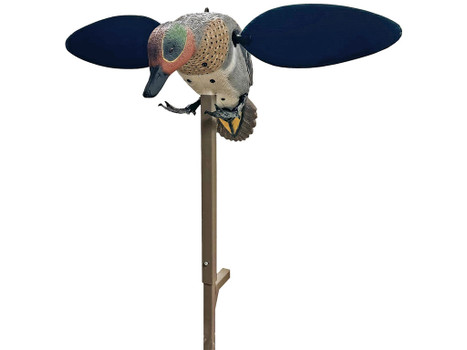 Mojo Outdoors HW2555 Green Winged Teal Teal Species