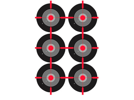 Birchwood Casey 35703 Dirty Bird Bullseye Tagboard Target 12" x 18" 100 Per Pkg