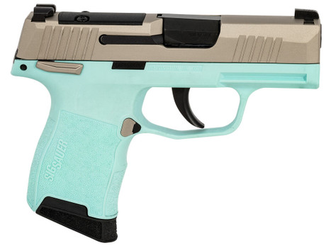 SIG 365380REBMS P365 380 XR3MS 3.1 10R TRQ