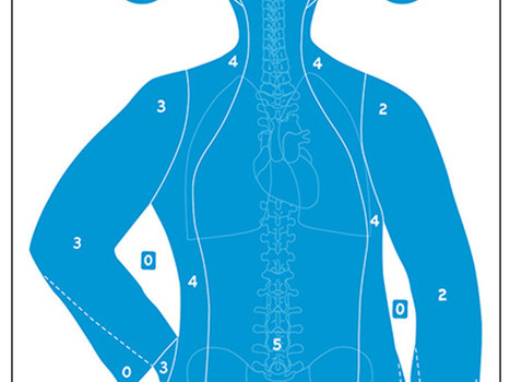 Action Target FB21EANTAV2100 Qualification Silhouette/Vitals Paper Hanging 23" x 35" Blue/White 100 Per Box