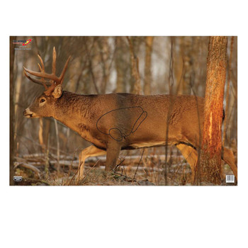 Birchwood Casey 37481 EZEScorer  Whitetail Deer Paper Hanging 23 x 35 MultiColor 2 Per Pkg UPC: 029057374810