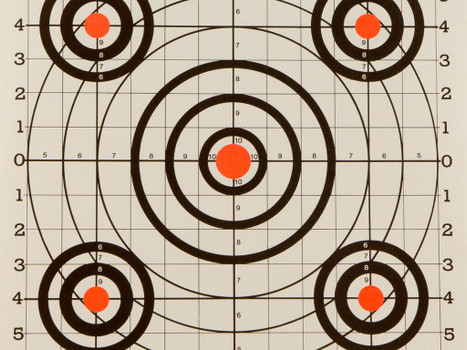 Champion Targets 45726 Score Keeper Bullseye Paper Hanging 100 yds Pistol/Rifle 14" x 18" Multi-Color 12 PK