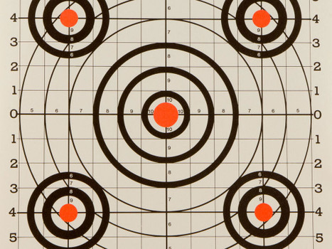 Champion Targets 45726 Score Keeper Bullseye Paper Hanging 100 yds Pistol/Rifle 14" x 18" Multi-Color 12 PK
