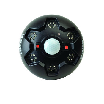 American Hunter AHHOGLITE Swine Shine Hog Light Black ABS Plastic Green Filter UPC: 888151014394