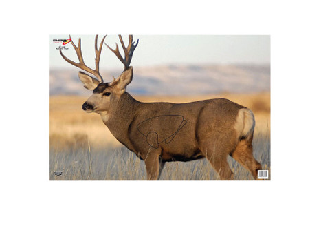 Birchwood Casey 37482 EZE-Scorer Mule Deer Paper Hanging 23" x 35" Multi-Color 2 Per Pkg