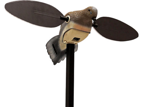 Mojo Outdoors HW2488 Elite Series Dove Species Multi Color PVC