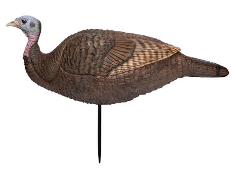 Primos 69073 Lil Gobstopper Hen Turkey Species Multi Color