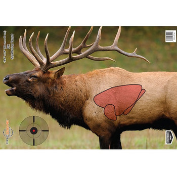 Birchwood Casey 35404 Pregame  Elk Paper Target 16.50 x 24 3 Per Pkg UPC: 029057354041