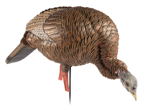 Avian X AVXAVX8107 HDR Feeder Hen Turkey Species Multi-Color