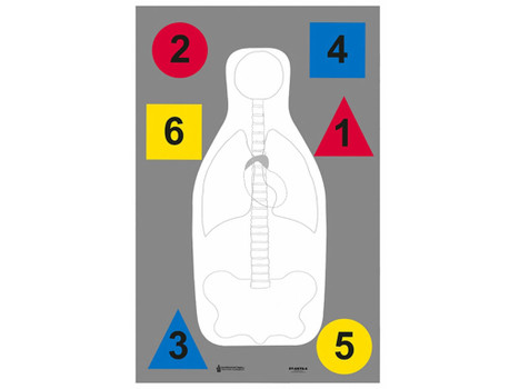 Action Target DTANTQA100 Training Multi-Purpose Silhouette Paper Hanging 23" x 35" Multi-Color 100 Per Box