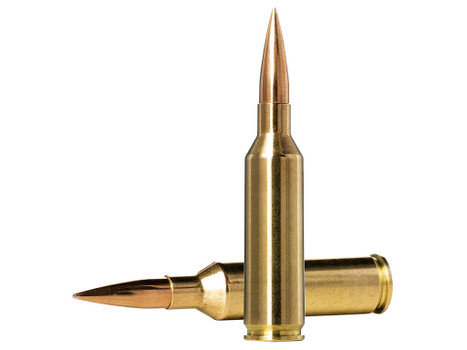 Norma Ammunition 10166462 Dedicated Precision Golden Target Match 6.5PRC 143gr Hollow Point Boat Tail 20 Per Box/10 Case