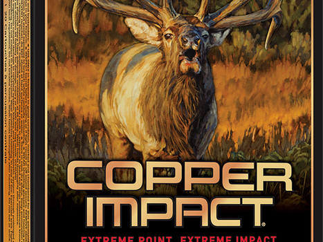 Winchester Ammo X3006CLF2 Copper Impact 30-06Springfield 180gr Copper Extreme Point Lead Free 20 Per Box/10 Case