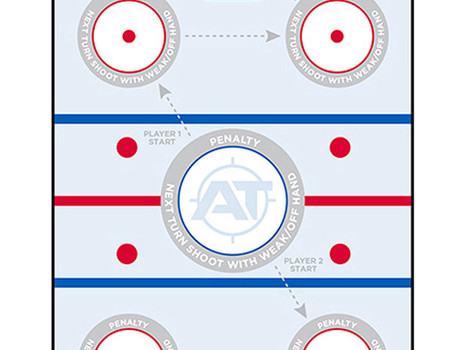 Action Target GSHOCKEY100 Entertainment Hockey Paper Hanging 23" x 35" Blue/White 100 Per Box