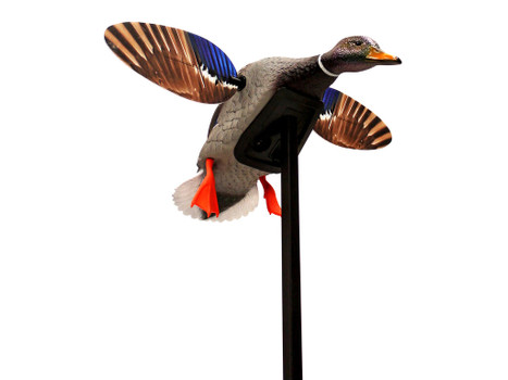 Mojo Outdoors HW24703P Elite Series Mini Mallard Drake Species Multi Color Plastic