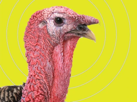 Allen 15267 EZ Aim Splash Reactive Target Turkey Hanging Paper Universal 12"x18" Multi-Color 6Pack