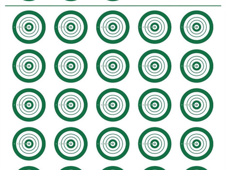 EZ-Aim 15582 Official IBS Rimfire Target Non-Adhesive White/Green 25 Pack