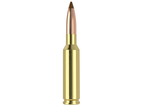 Nosler 61053 6.5x55Swedish 140gr Ballistic Tip 20 Per Box/10 Case