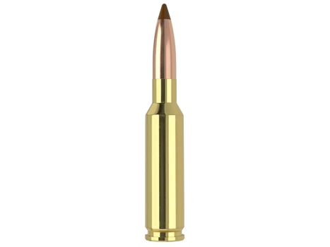 Nosler 61053 6.5x55Swedish 140gr Ballistic Tip 20 Per Box/10 Case
