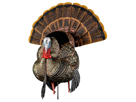 Avian X AVXAVX8108 HDR Strutter Turkey Species Multi Color