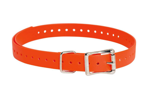 SPORTDOG BD 3/4" ORANGE COLLR STRAP UPC: 729849108158